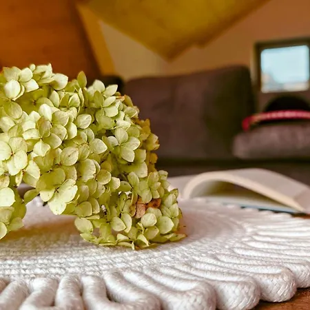 Pansiyon Magdalena *